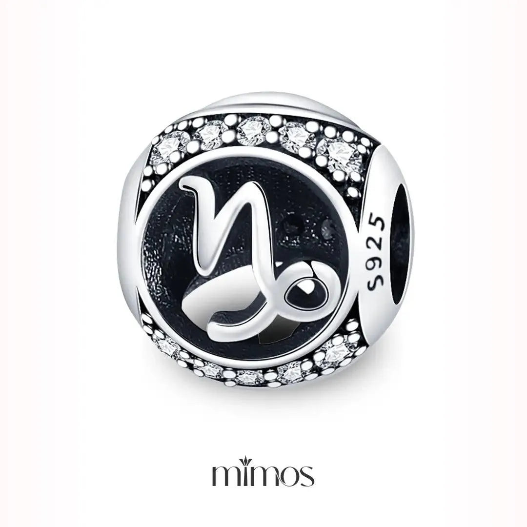 Zodiac Signs Charm