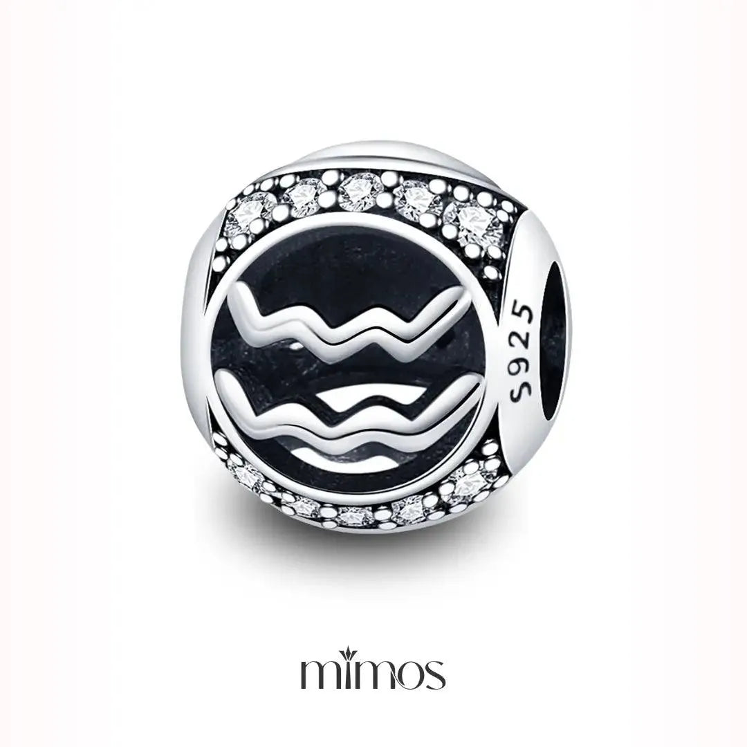 Zodiac Signs Charm