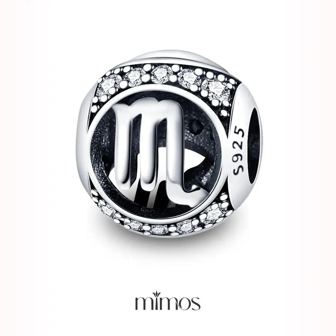 Zodiac Signs Charm