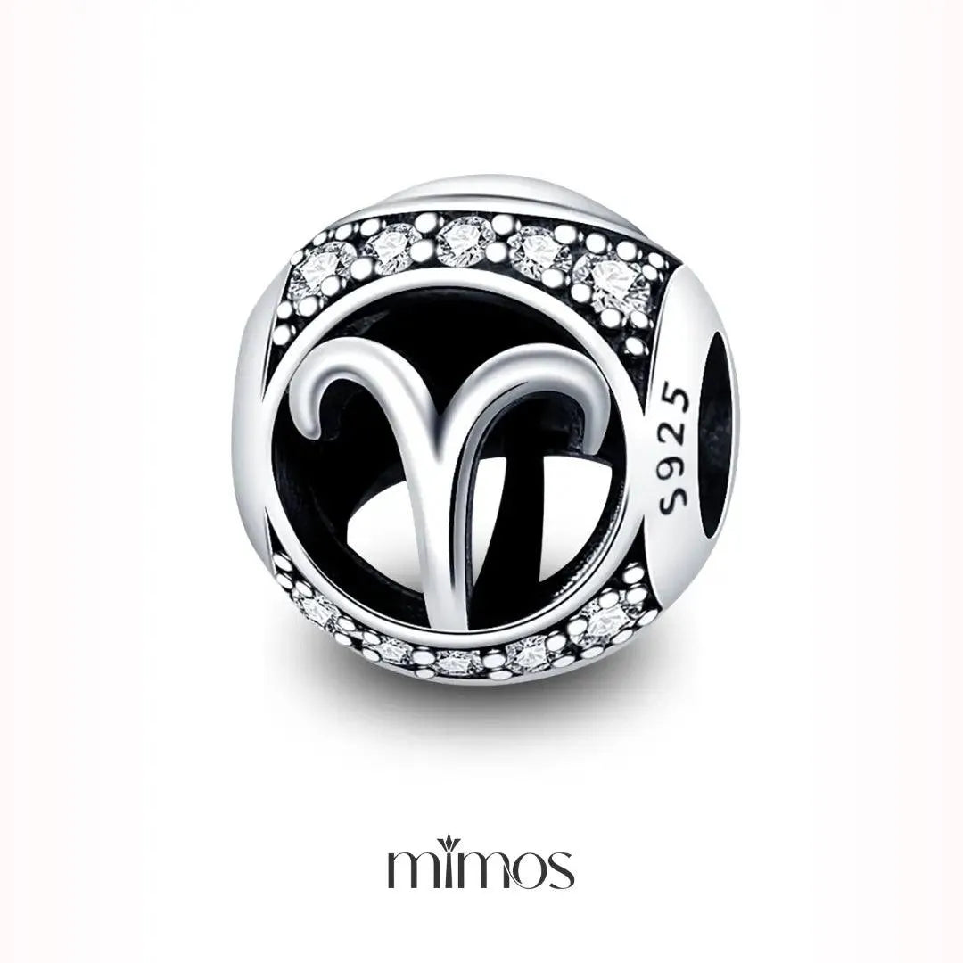 Zodiac Signs Charm