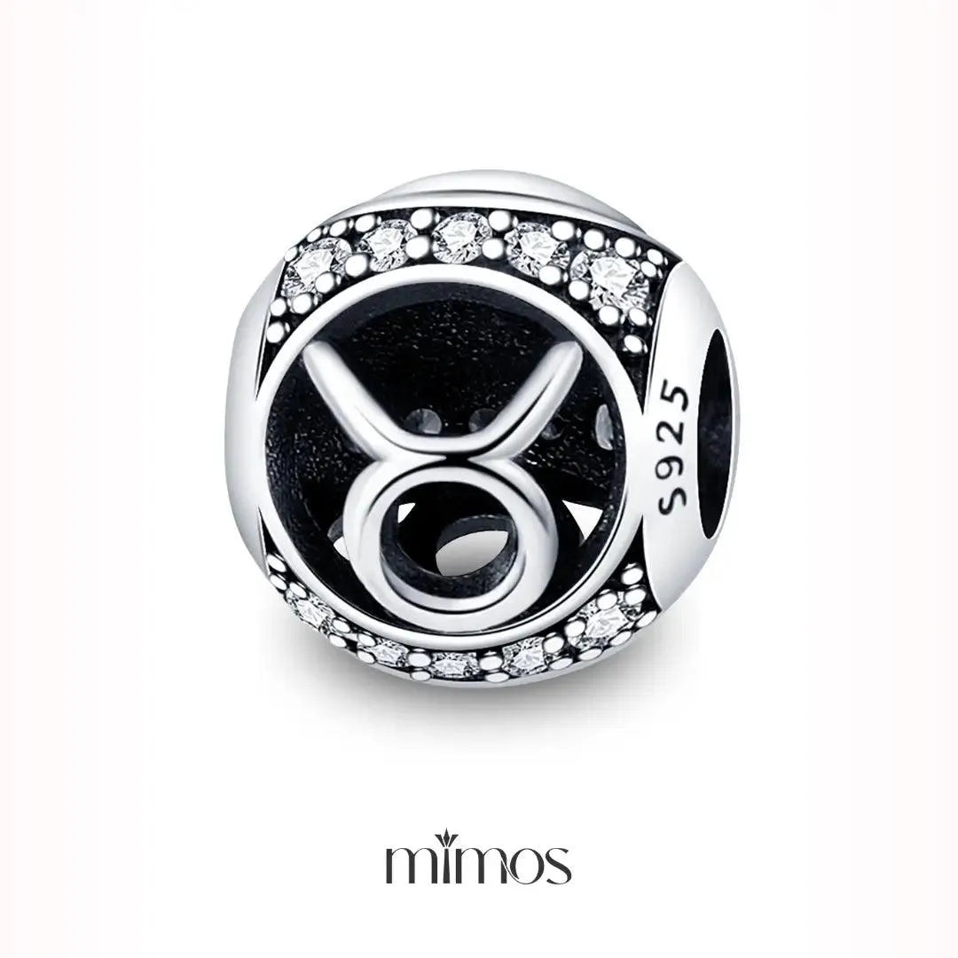 Zodiac Signs Charm