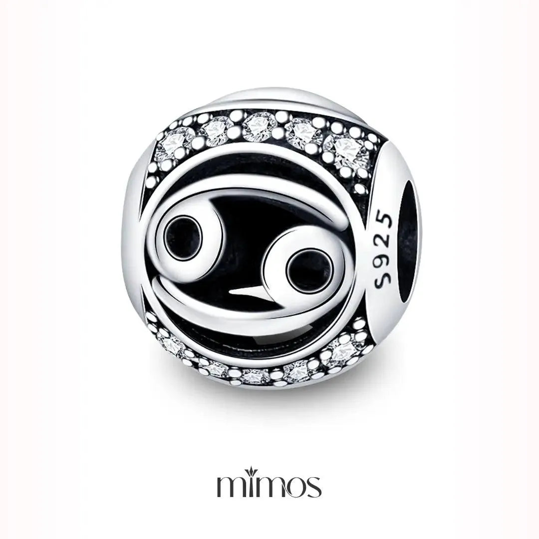 Zodiac Signs Charm