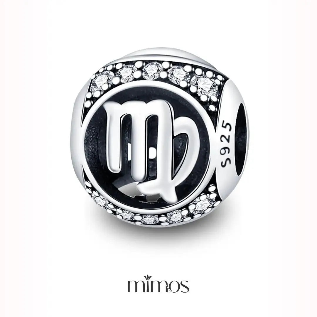 Zodiac Signs Charm