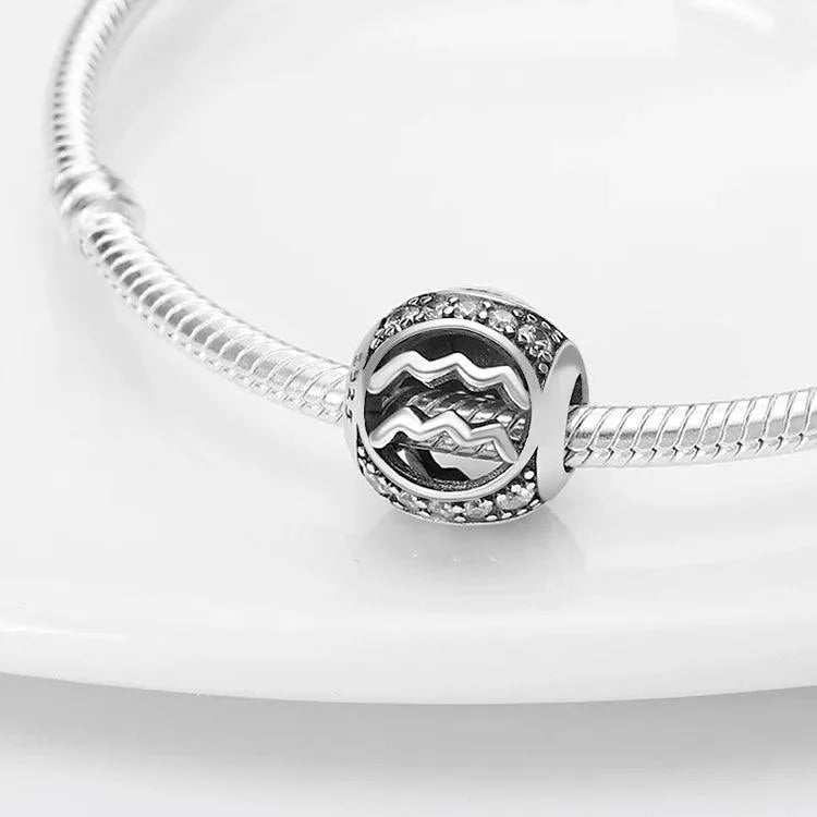 Zodiac Signs Charm